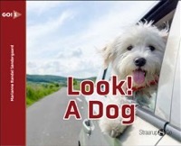 Look! A dog