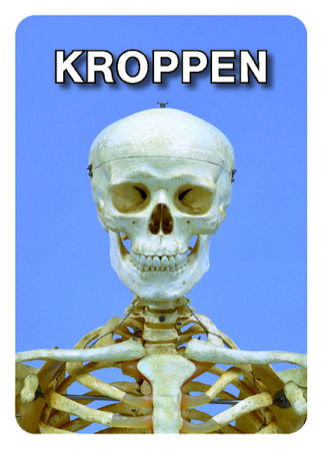 Kroppen: Kortlek