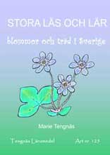 Stora läs och lär - blommor och träd i Sverige kopieringsunderlag
