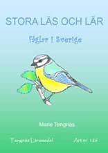 Stora läs och lär - fåglar i Sverige kopieringsunderlag