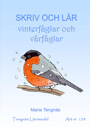 Skriv och lär - Vinterfåglar och vårfåglar kopieringsunderlag