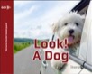 Look! A dog