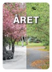 Året kortlek 