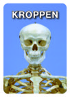 Kroppen: Kortlek