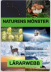 Naturens mönster - Lärarwebb